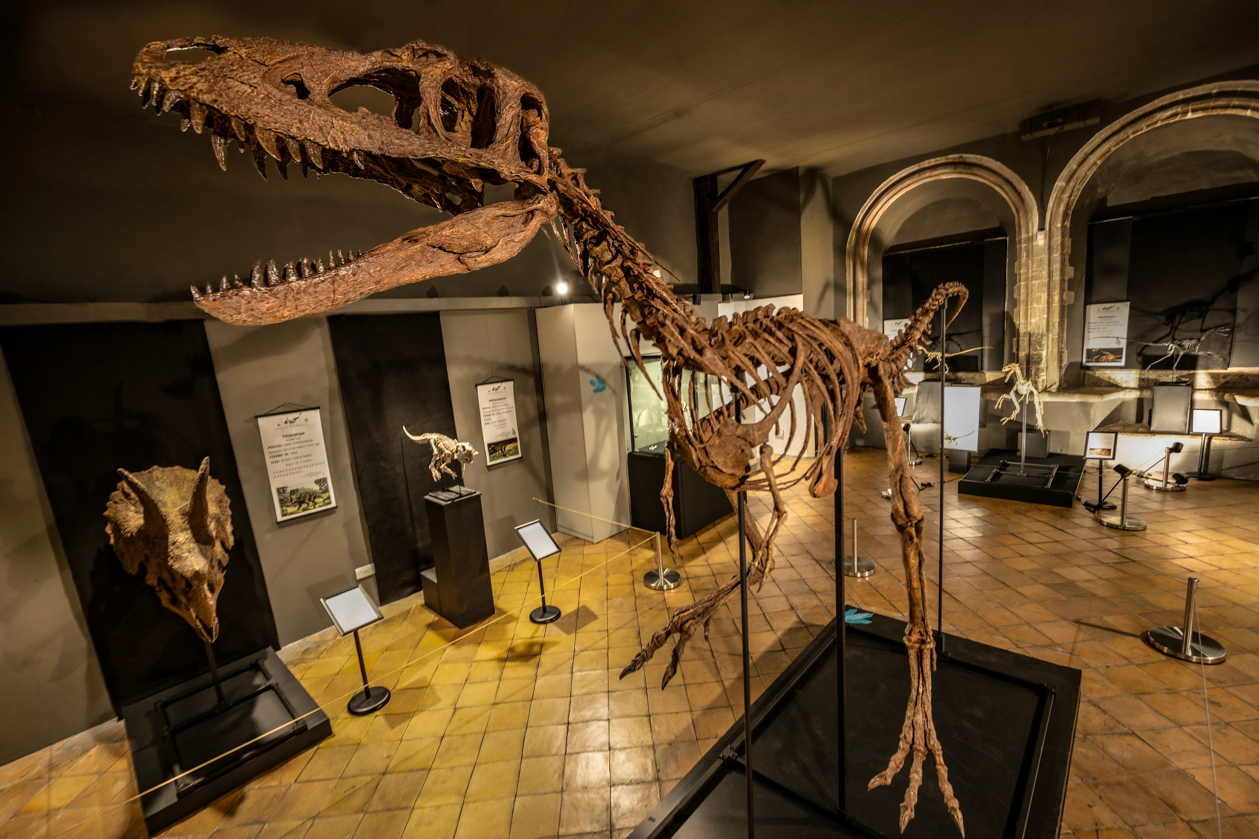 Bring Prehistoric History to Life